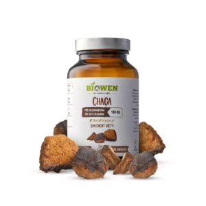 Chaga (Błyskoporek Podkorowy)