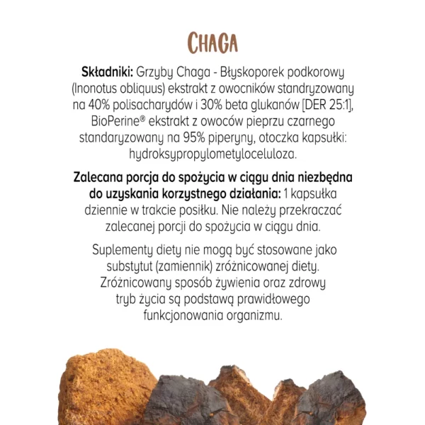 Chaga (Błyskoporek Podkorowy)