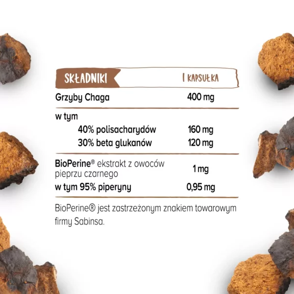 Chaga (Błyskoporek Podkorowy)