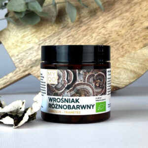 Wrośniak różnobarwny (Coriolus versicolor)
