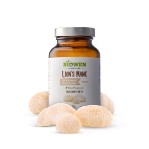 Lion’s Mane (Soplówka jeżowata)