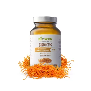 Kordyceps - Cordyceps Sinensis - 400 mg
