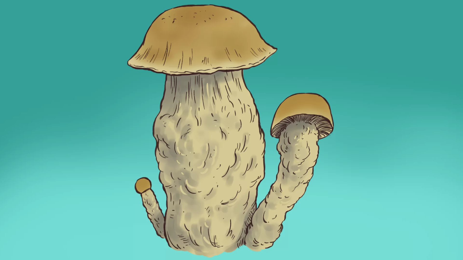 melmack GrowKit Melmack