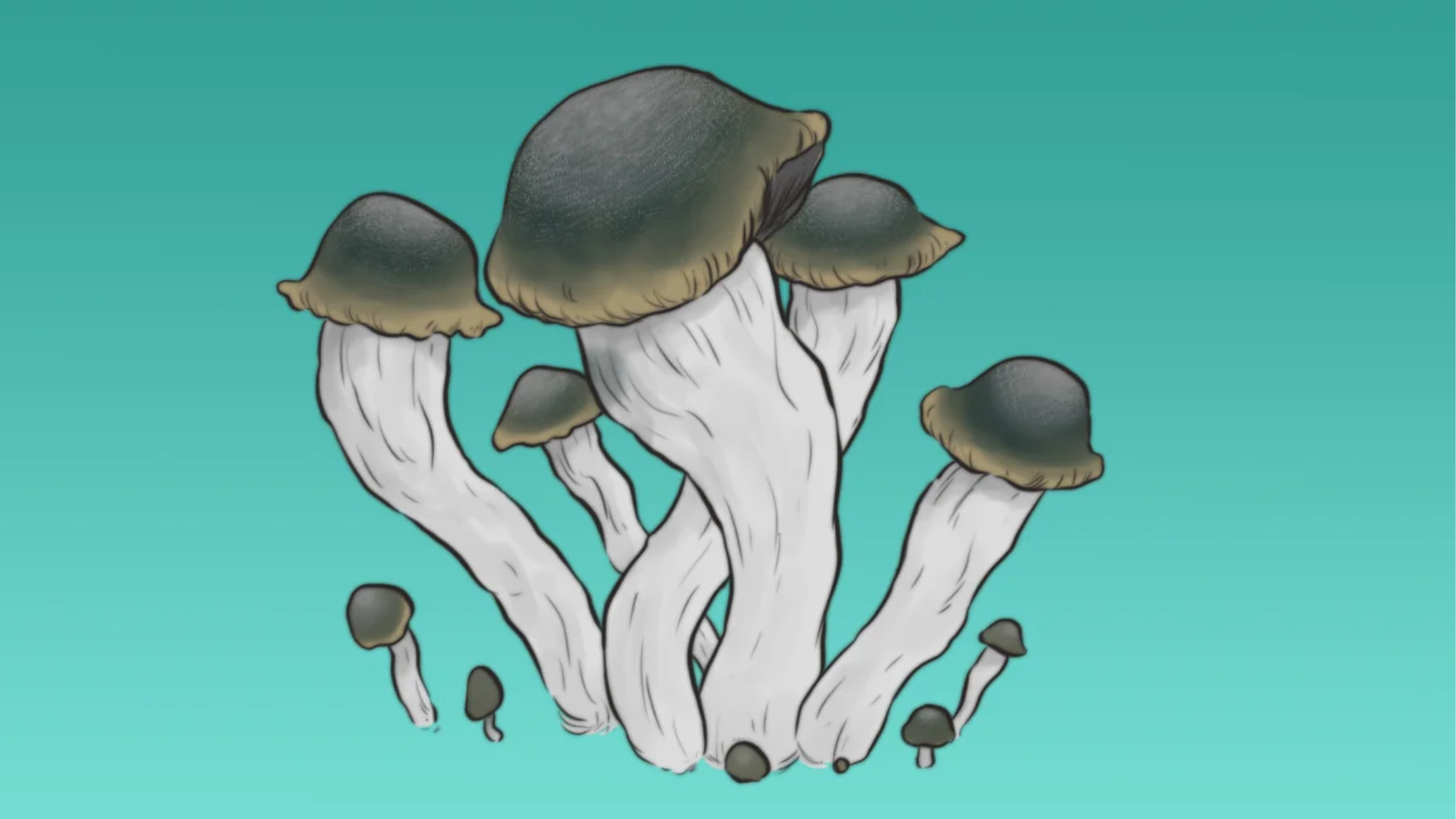 yeti GrowKit Yeti M2M Auto